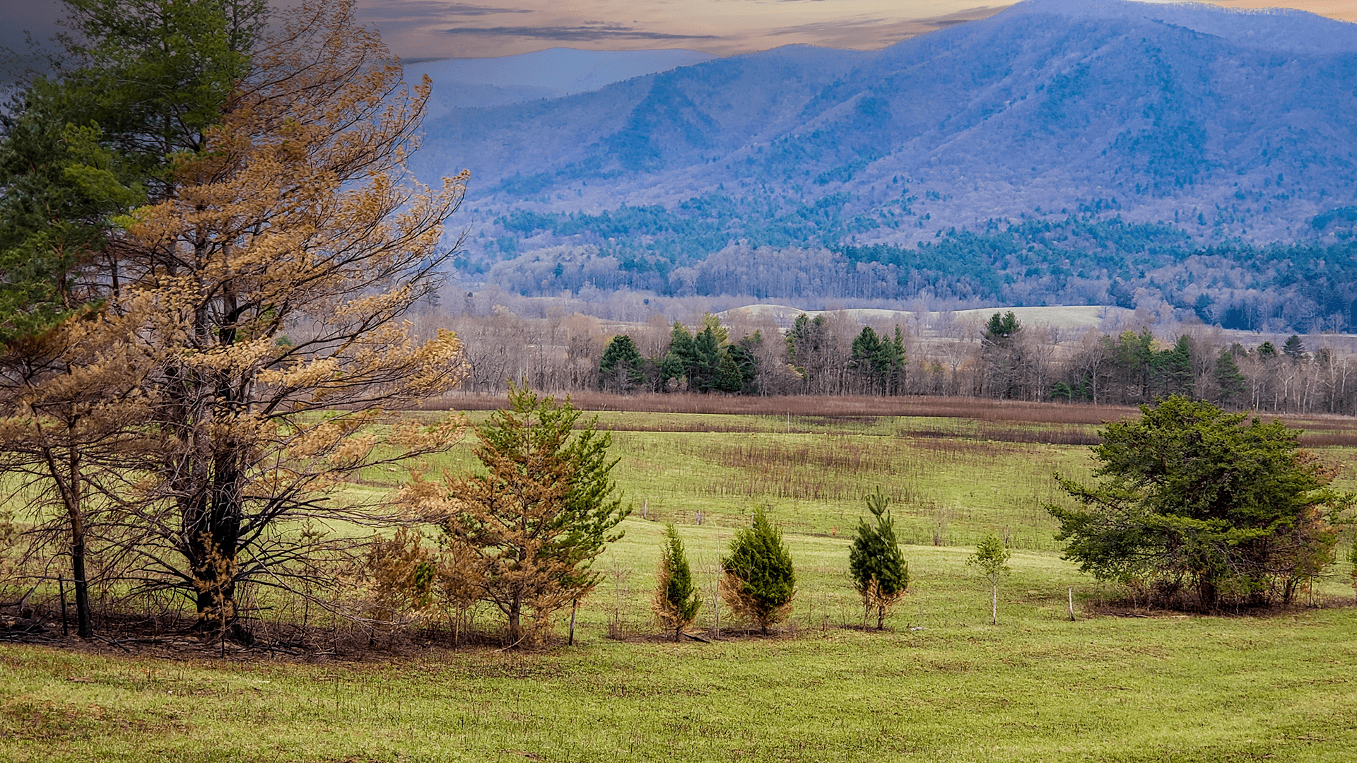 The Great Smoky Mountains